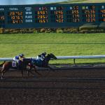 LosAl_Race_0085 (July 26, 2015)